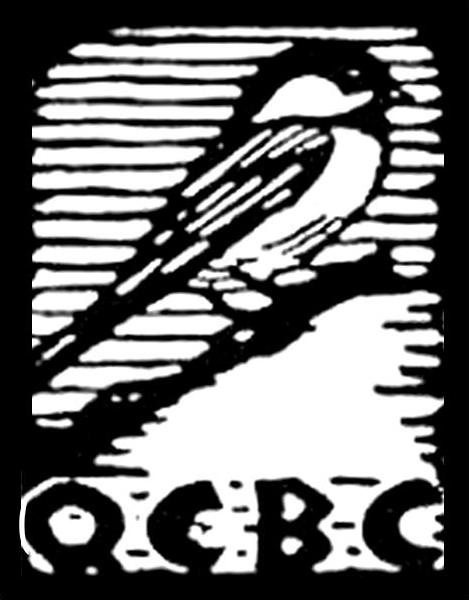 Welcome to the Queens County Bird Club. Click here for more information